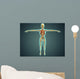 Human Body Showing Skeletal Wall Decal Design 2