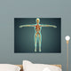 Human Body Showing Skeletal Wall Decal Design 2