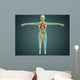 Human Body Showing Skeletal Wall Decal Design 2