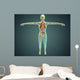 Human Body Showing Skeletal Wall Decal Design 2