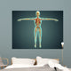 Human Body Showing Skeletal Wall Decal Design 2