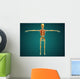 Front Human Skeleton with Wall Decal