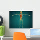 Front Human Skeleton with Wall Decal