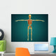Front Human Skeleton with Wall Decal