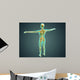 Human Body Showing Skeletal Wall Decal Design 1