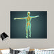 Human Body Showing Skeletal Wall Decal Design 1