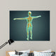 Human Body Showing Skeletal Wall Decal Design 1