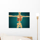 Back Human Skeleton with Wall Decal Design 1