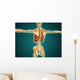 Back Human Skeleton with Wall Decal Design 1
