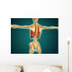 Back Human Skeleton with Wall Decal Design 1