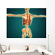 Back Human Skeleton with Wall Decal Design 1