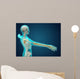 X-ray Human Body Showing Wall Decal