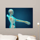 X-ray Human Body Showing Wall Decal