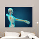 X-ray Human Body Showing Wall Decal