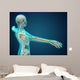 X-ray Human Body Showing Wall Decal