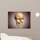 Conceptual Image Human Skull Wall Decal Design 5