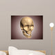 Conceptual Image Human Skull Wall Decal Design 5