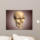 Conceptual Image Human Skull Wall Decal Design 5