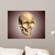Conceptual Image Human Skull Wall Decal Design 5