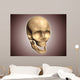 Conceptual Image Human Skull Wall Decal Design 5