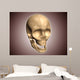 Conceptual Image Human Skull Wall Decal Design 5