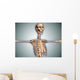 Conceptual Image Human Rib Wall Decal