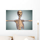 Conceptual Image Human Rib Wall Decal