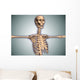 Conceptual Image Human Rib Wall Decal