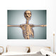 Conceptual Image Human Rib Wall Decal