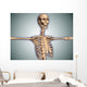 Conceptual Image Human Rib Wall Decal