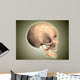 Conceptual Image Human Skull Wall Decal Design 4