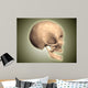 Conceptual Image Human Skull Wall Decal Design 4