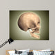 Conceptual Image Human Skull Wall Decal Design 4