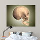 Conceptual Image Human Skull Wall Decal Design 4