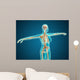 X-ray Female Body Showing Wall Decal