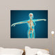 X-ray Female Body Showing Wall Decal
