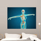 X-ray Female Body Showing Wall Decal