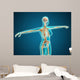 X-ray Female Body Showing Wall Decal