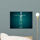 Conceptual Image Human Skeletal Wall Decal