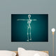 Conceptual Image Human Skeletal Wall Decal