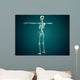 Conceptual Image Human Skeletal Wall Decal