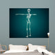 Conceptual Image Human Skeletal Wall Decal