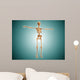 Perspective Human Skeletal System Wall Decal