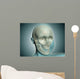 Close-up Human Skull with Wall Decal