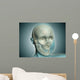 Close-up Human Skull with Wall Decal
