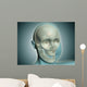Close-up Human Skull with Wall Decal