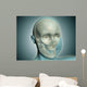 Close-up Human Skull with Wall Decal