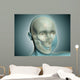 Close-up Human Skull with Wall Decal
