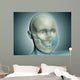 Close-up Human Skull with Wall Decal