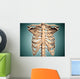 Close-up Human Rib Cage Wall Decal